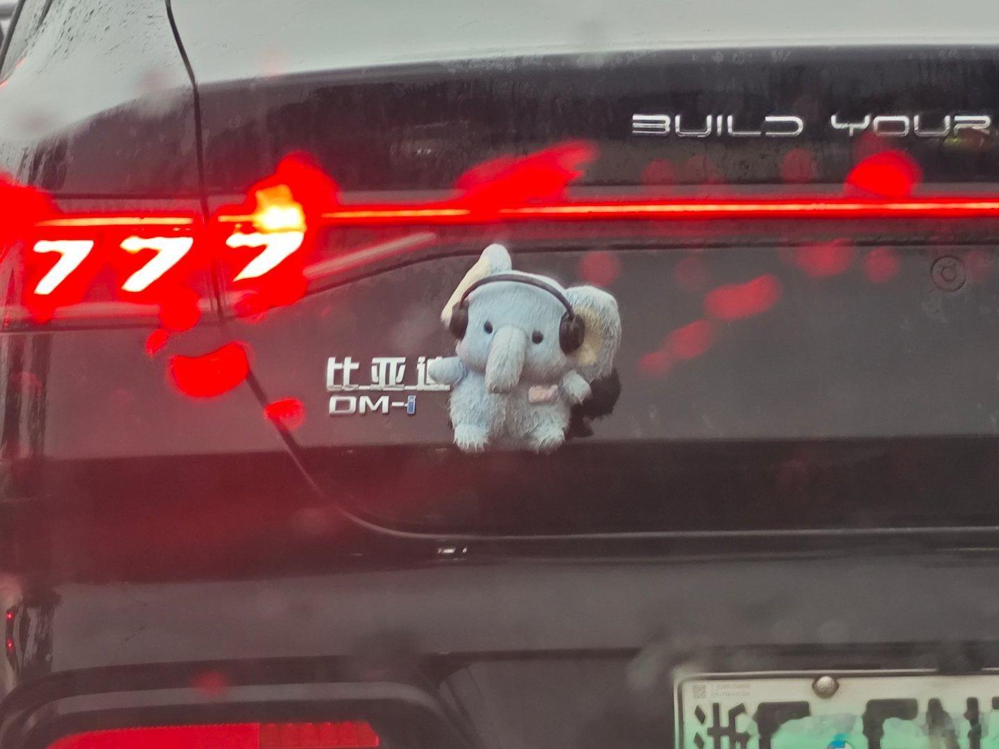 风雨中，偶遇一个在淋雨的比亚迪象