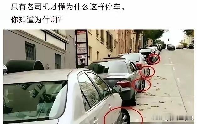 轮胎回正，才是正确做法吧