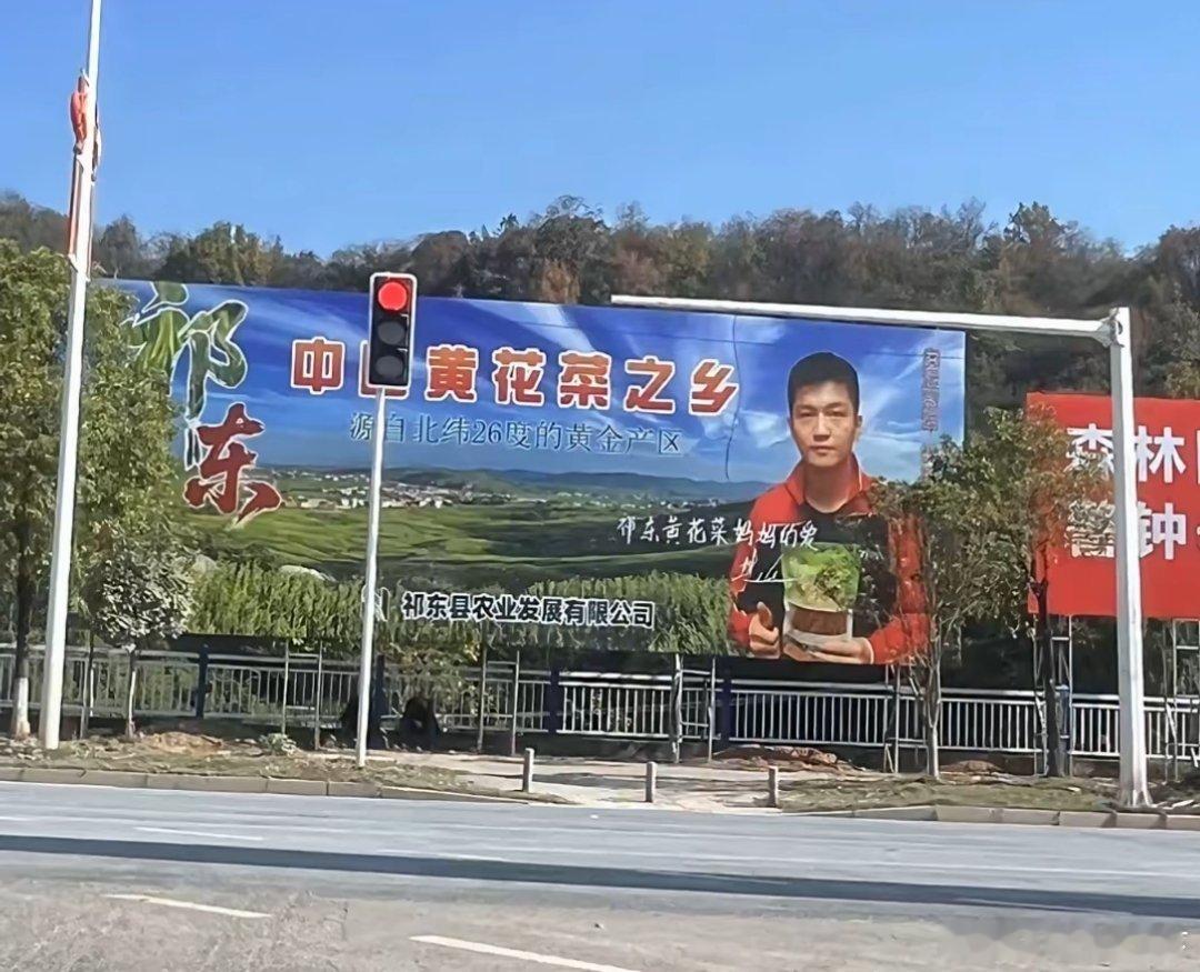 是大大的樊振东 