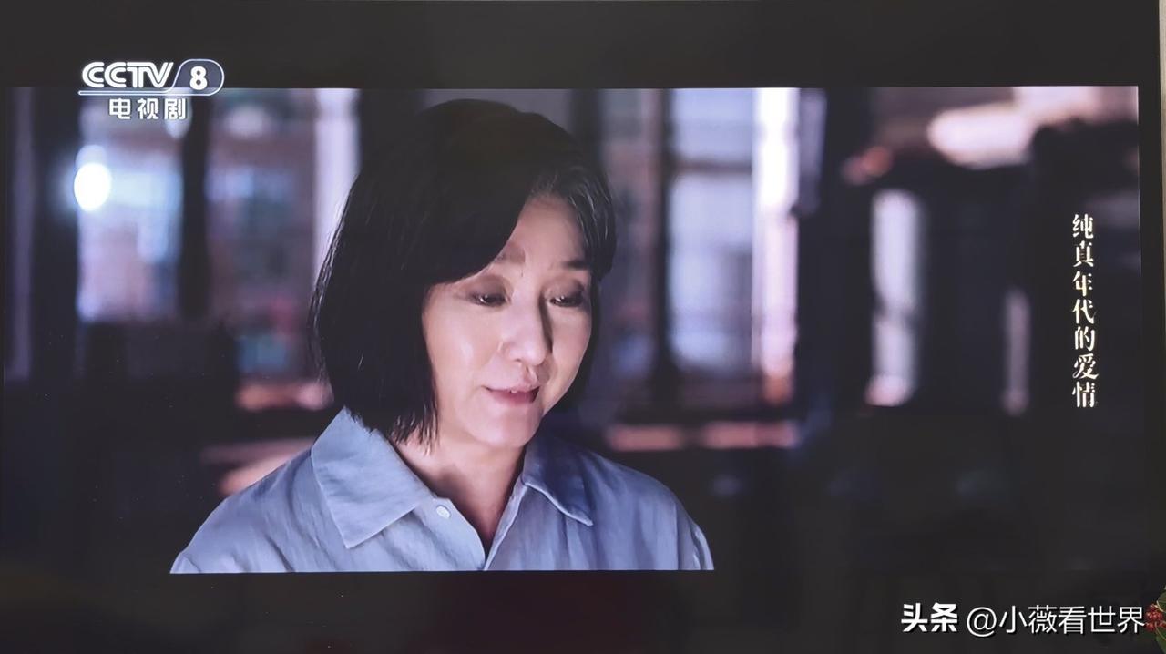 《纯真年代的爱情》已经大结局了，觉得演方穆扬妈妈的演员很脸熟。

一看演员表才知