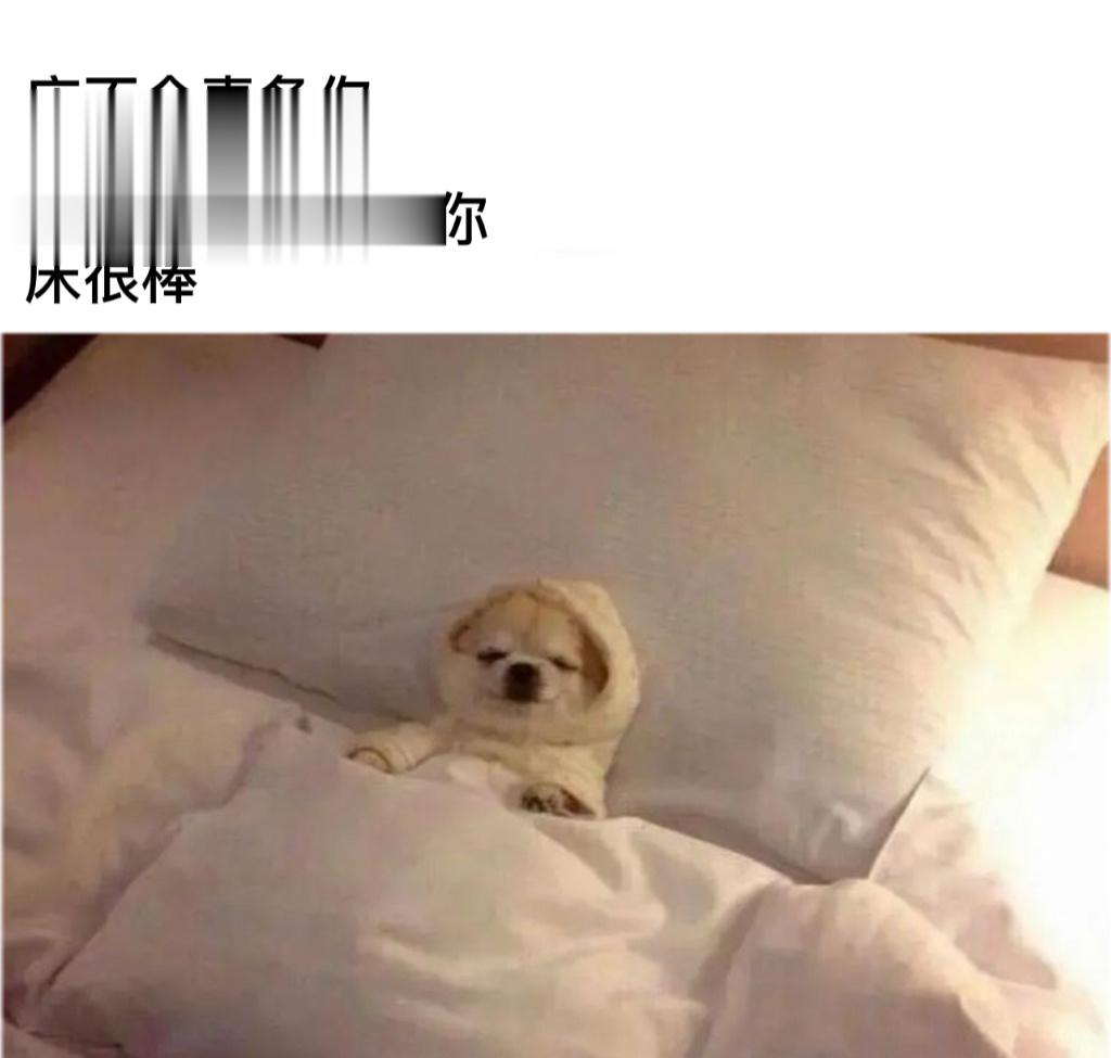 我爱床#今日memes# //#我的幽默搭子# //#定格# ​​​