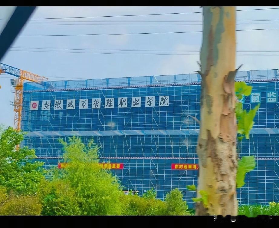 寿县新桥大学城第7所高校开始采购大门了，建设进度很快
新桥大学城位于安徽省淮南市