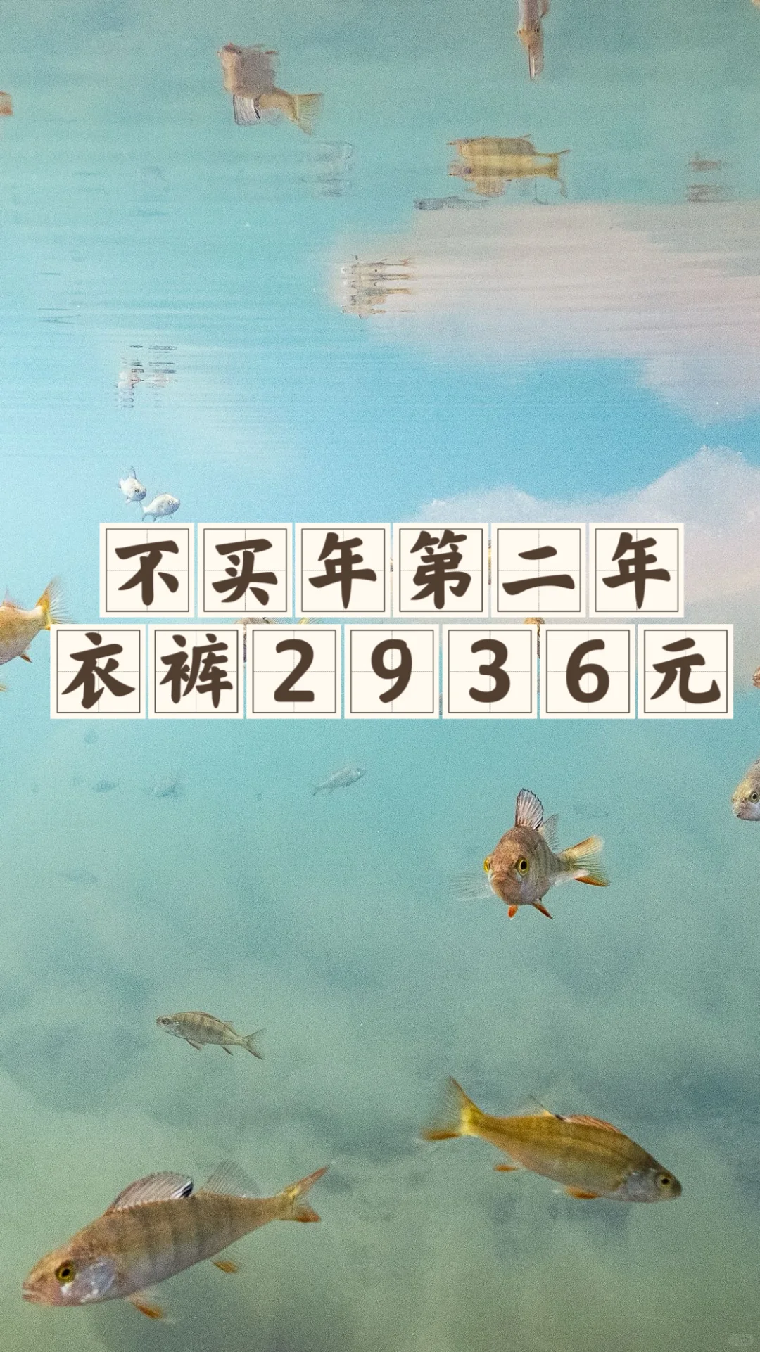 不买年第二年：全年总消费10758.39元