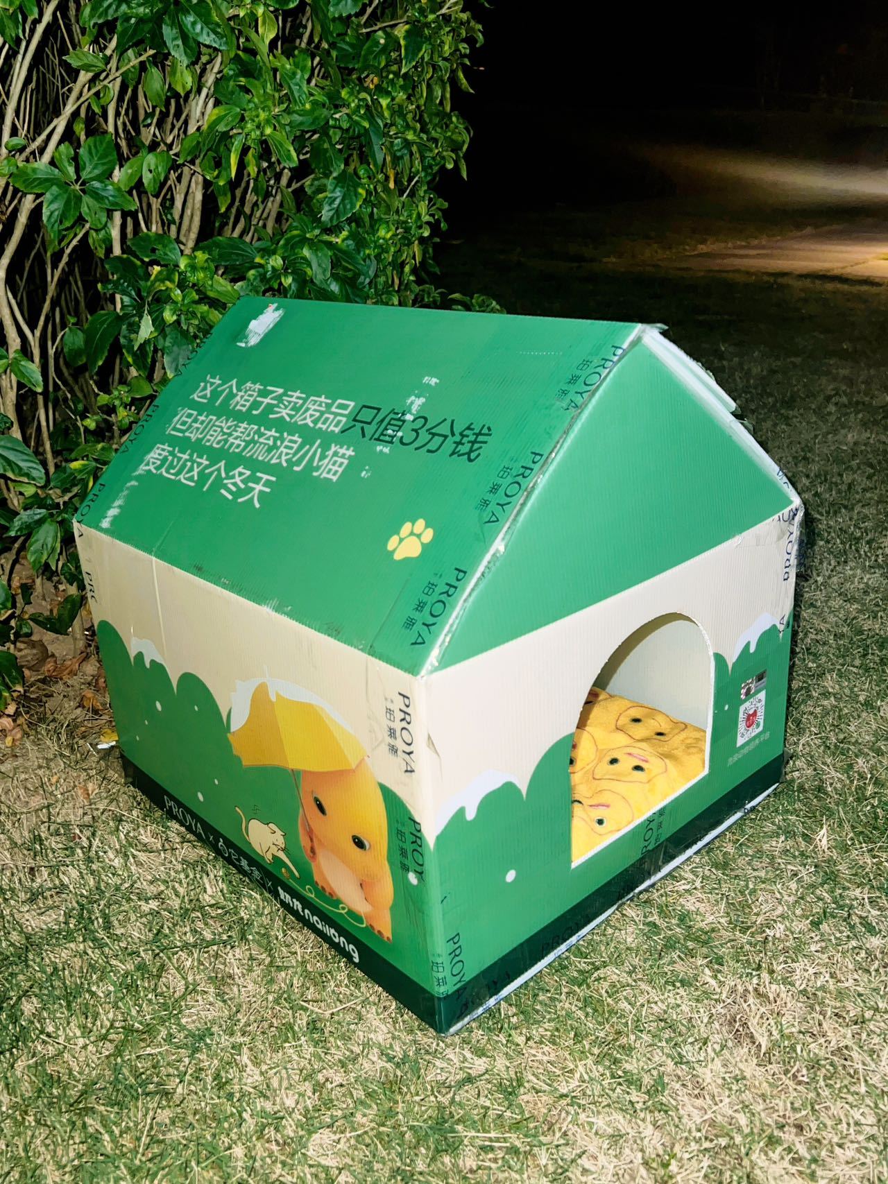 这两天会降温特别多，担心流浪的小猫咪们适应不了这么大的温差。如果下雨的话情况就更