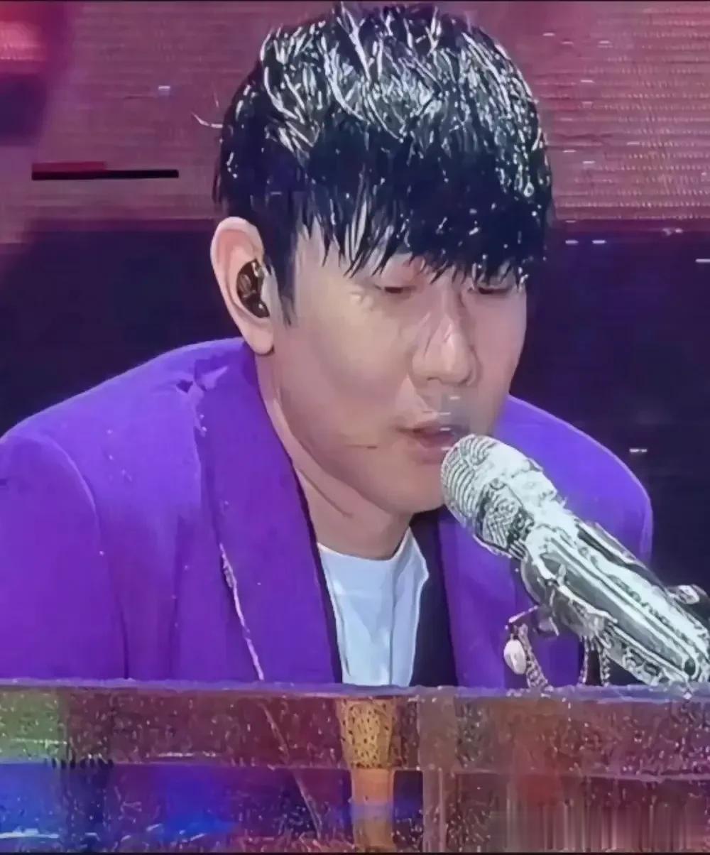 我说老林啊，这演唱会不开也罢！被淋成落汤狗了，何苦呢？

远远看上去就像戴着假发