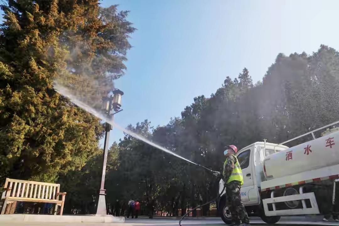 树不可伐，人何以避：7500万过敏人群的“春日之困”
他人眼中的春天，是赏花游春