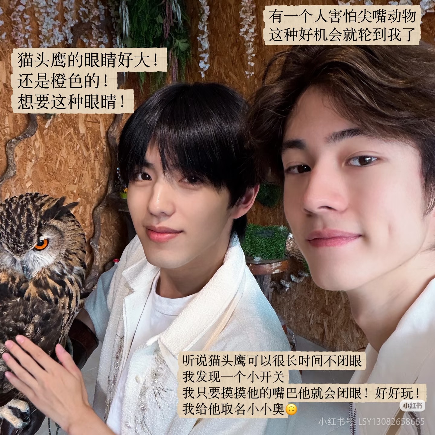 卧槽啊原谅全世界淑元这是你写的吗