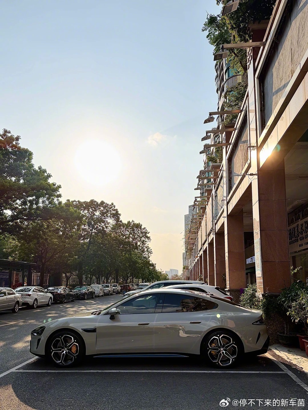 阳光很好，SU7很帅，早！ 