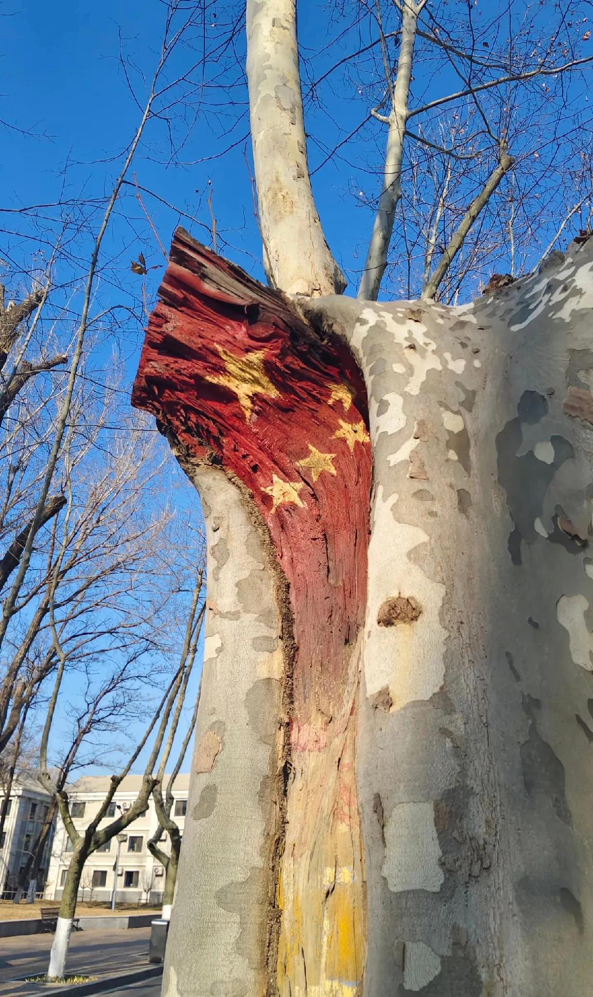 早上走在马路上，不经意抬头一看，见树干被粉刷成了国旗颜色，瞬间心头一热！
树干的