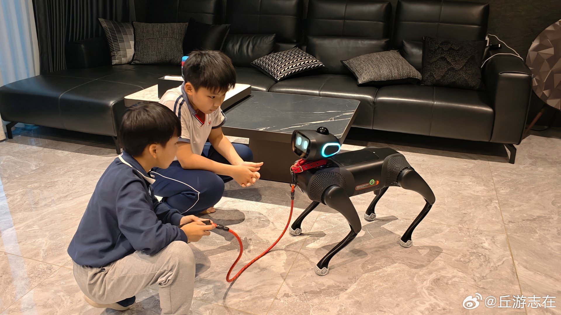 Hello Vbot大头～看看能陪孩子们怎么折腾vbot超能机器狗vbot维他动