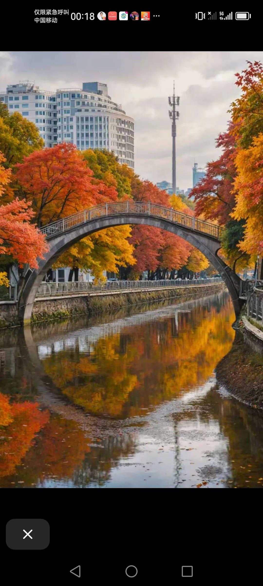 昆明大观河上的这座桥，真的是跟这两边的红叶搭配是一幅天然的画。
这座桥比我的年龄