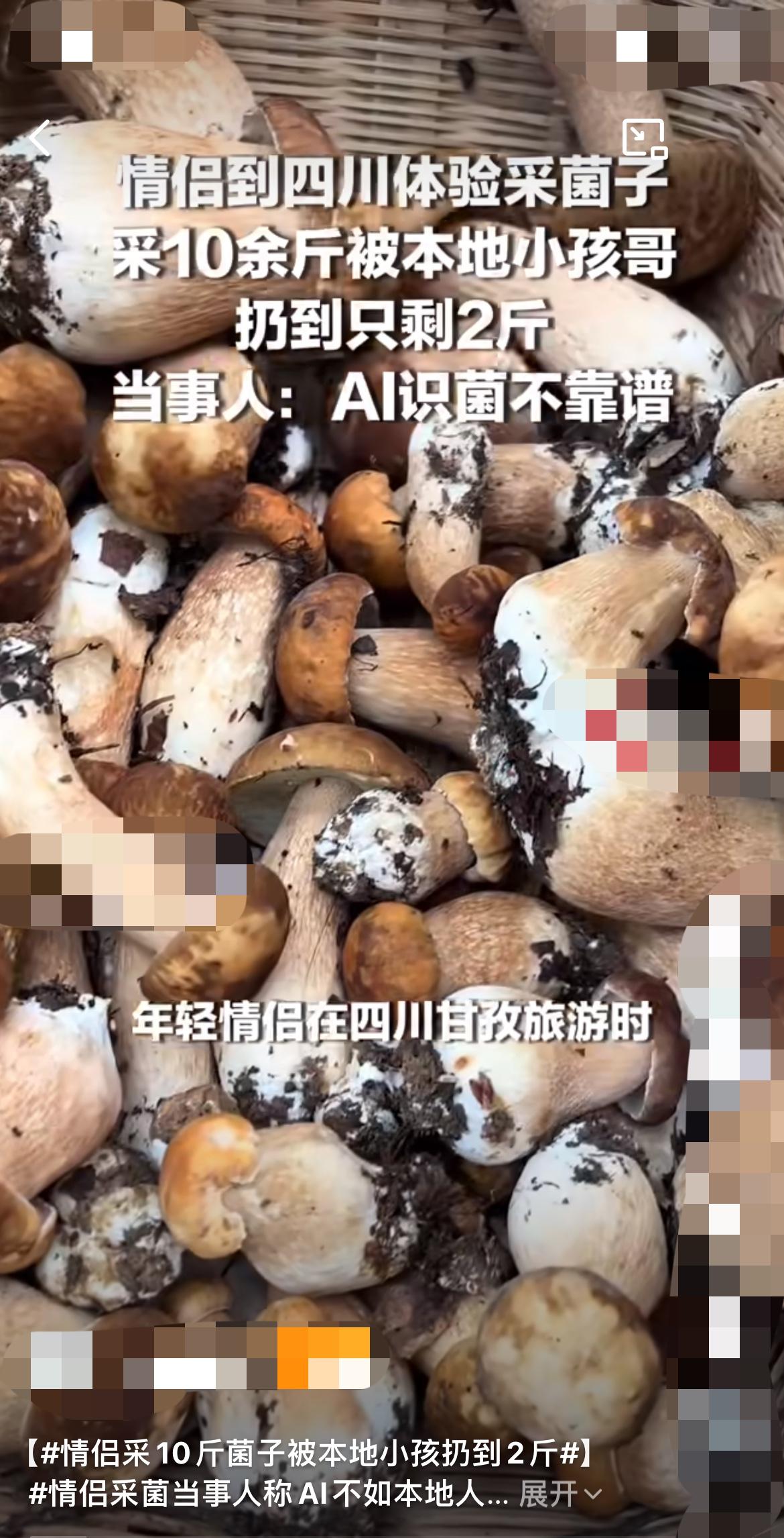 “这些菌子你敢吃？吃了要出人命的！”
在四川甘孜康定甲根坝镇，雅安来的一对情侣大