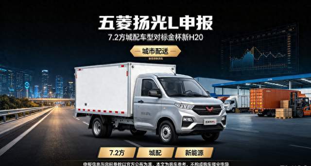 城配选新能源还是燃油，五菱扬光L和金杯新H20怎么看