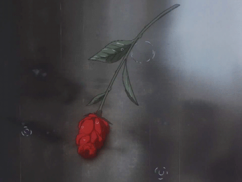 选择你所喜欢的，爱你所选择的。｜列夫.托尔斯泰 