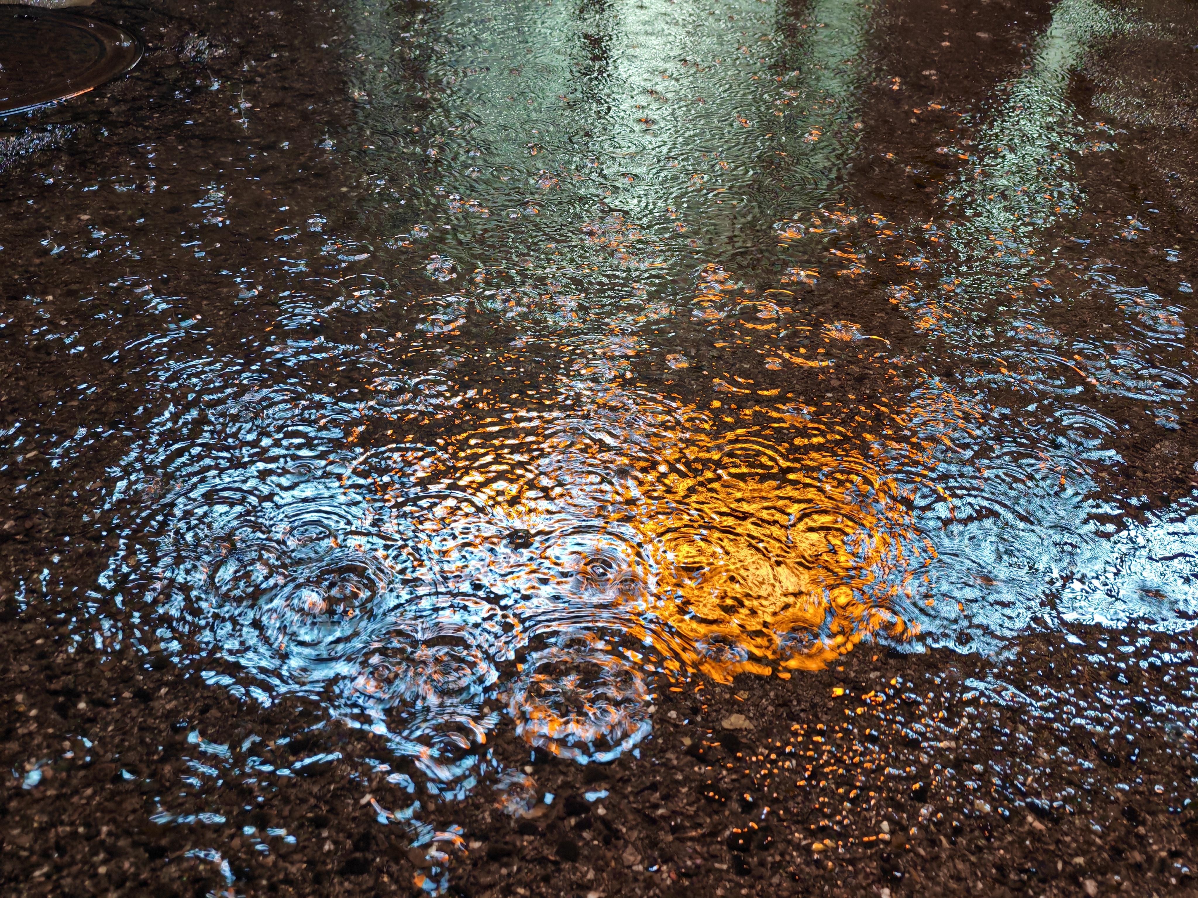 青岛很久没落雨晚上下楼还蛮新鲜脑海里蹦出一句歌词圈圈圆圆圈圈哈哈猜猜是谁的哪首歌