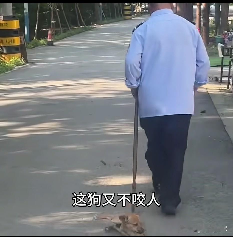 “这狗又不咬人，为什么要抓走？我这个视频马上就发到网上，对你们是会有影响的！”
