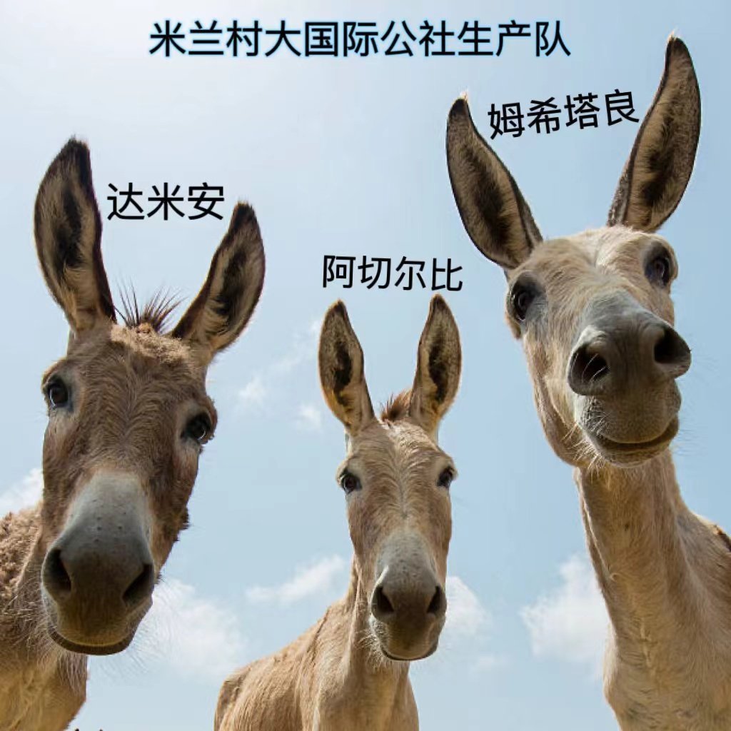 天空体育的首发预测，生产队全员出击[允悲]符合因圣的操作习惯，毕竟泽林刚来，她娘