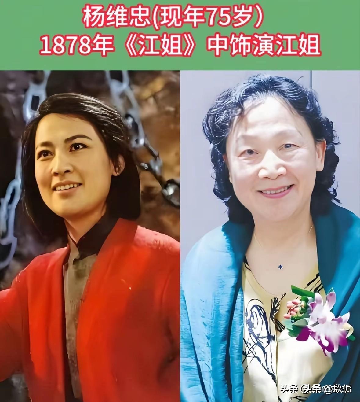 一部戏捧红一个人，这个道理在娱乐圈从来不新鲜。但有些演员，他们演过的角色比本人还