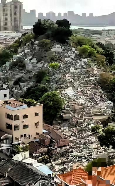 终于懂了！国家力推火葬真不是多此一举，反而藏着超现实的考量！
 
很多人吐槽火葬