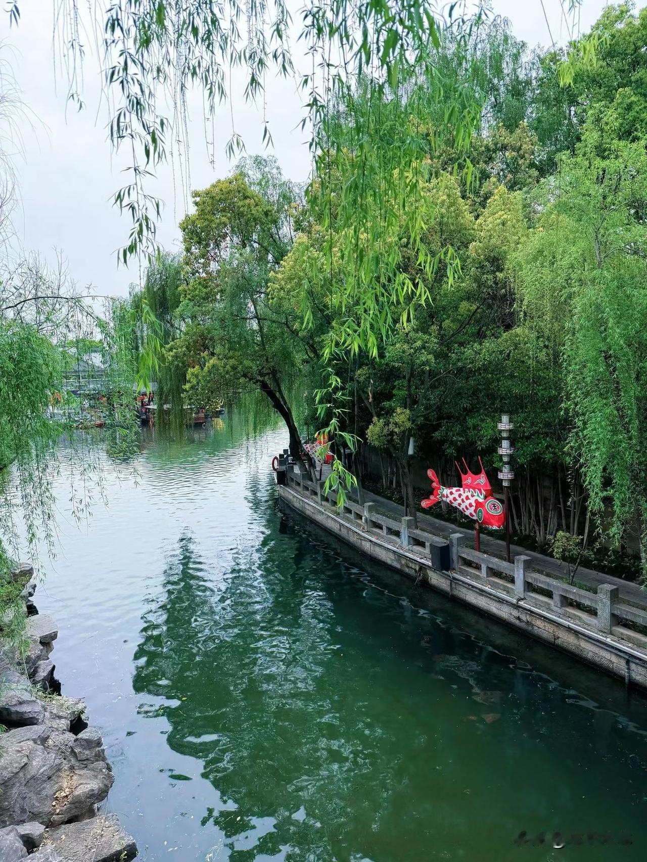 妈呀！真是怪事，真是怪事，真是怪事！

我们村一个人砍了一棵树，那树直接流白色的