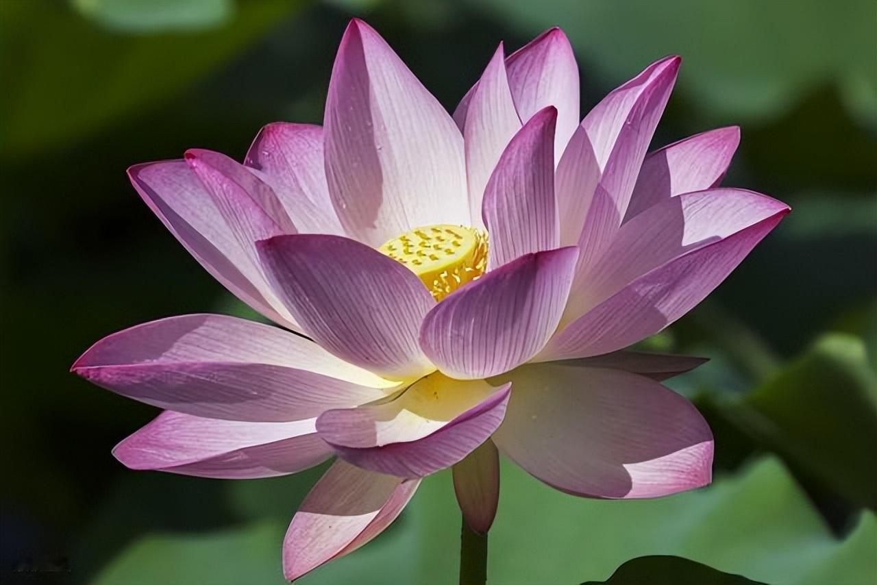 人生就像一幅画，需要自己去涂抹色彩。用心去感受，用爱去描绘，让生活充满色彩。
 