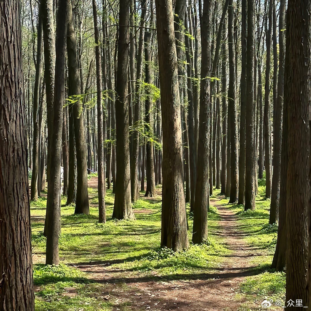 发现男人背叛后，女人千万别“追问细节”！因为你们会进入「毁灭式沟通」！ 为什么会