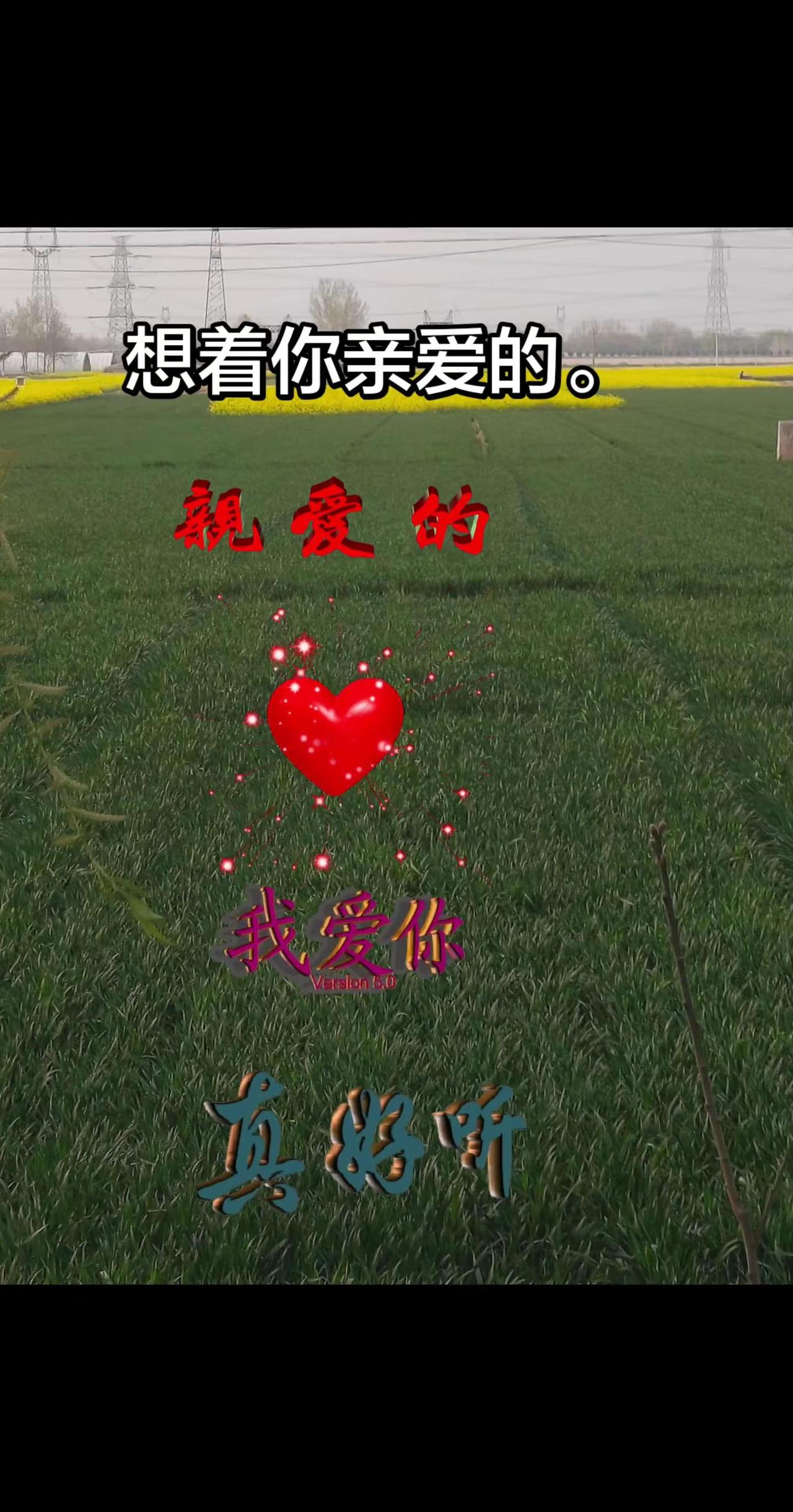 热歌。