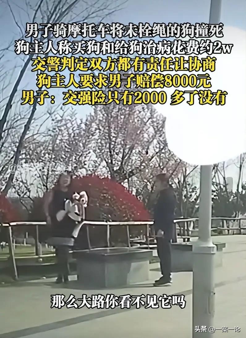 陕西，男子骑摩托时，不慎撞死一条没拴的宠物狗，狗主人这下不干了，说自家狗狗身价起