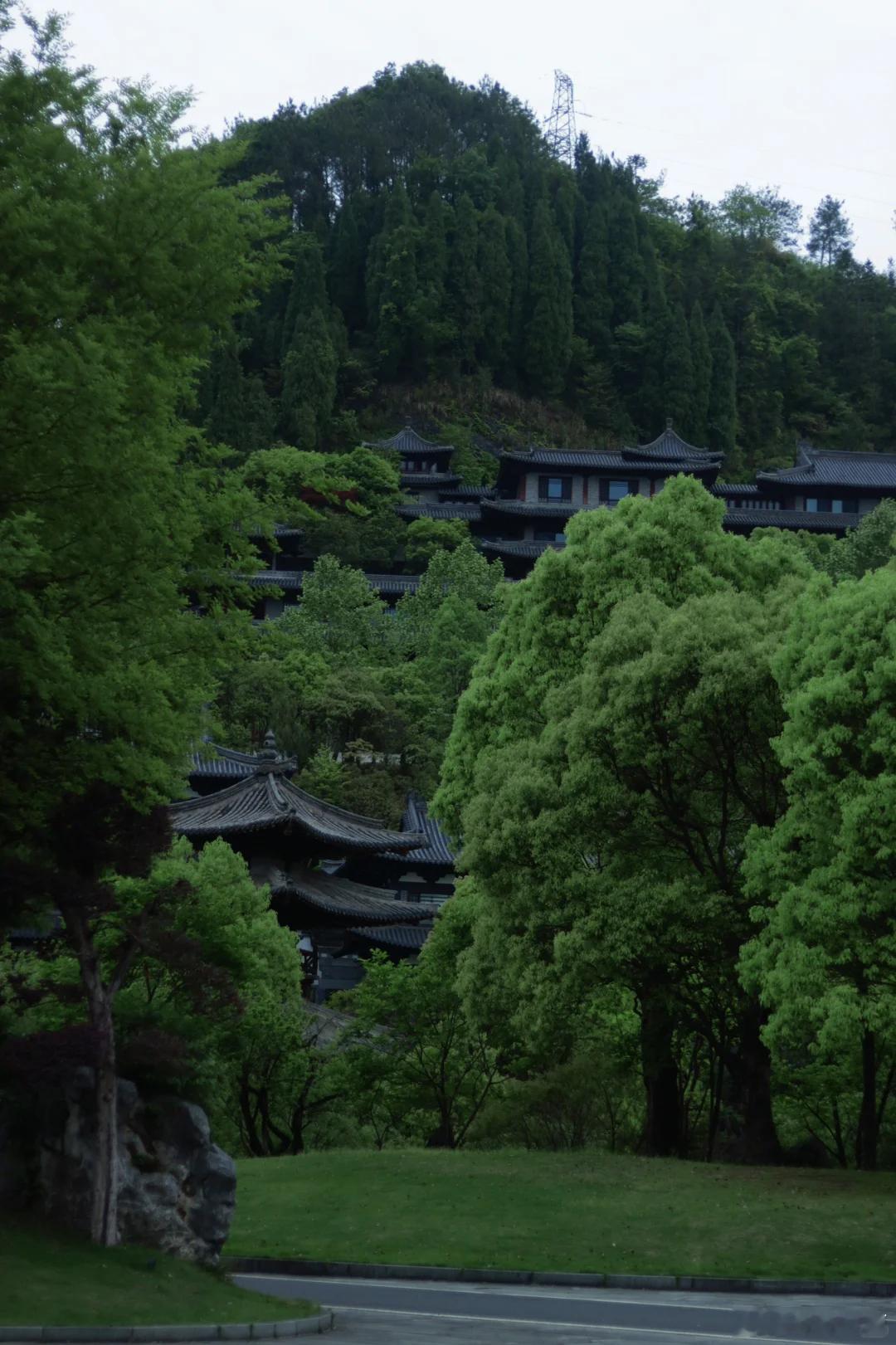 满眼的翠色，山林与古建相融，走在这里心里格外安宁 