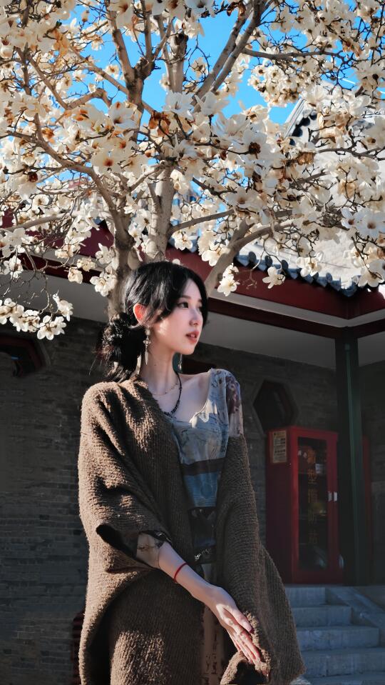 大悲寺 玉兰花开