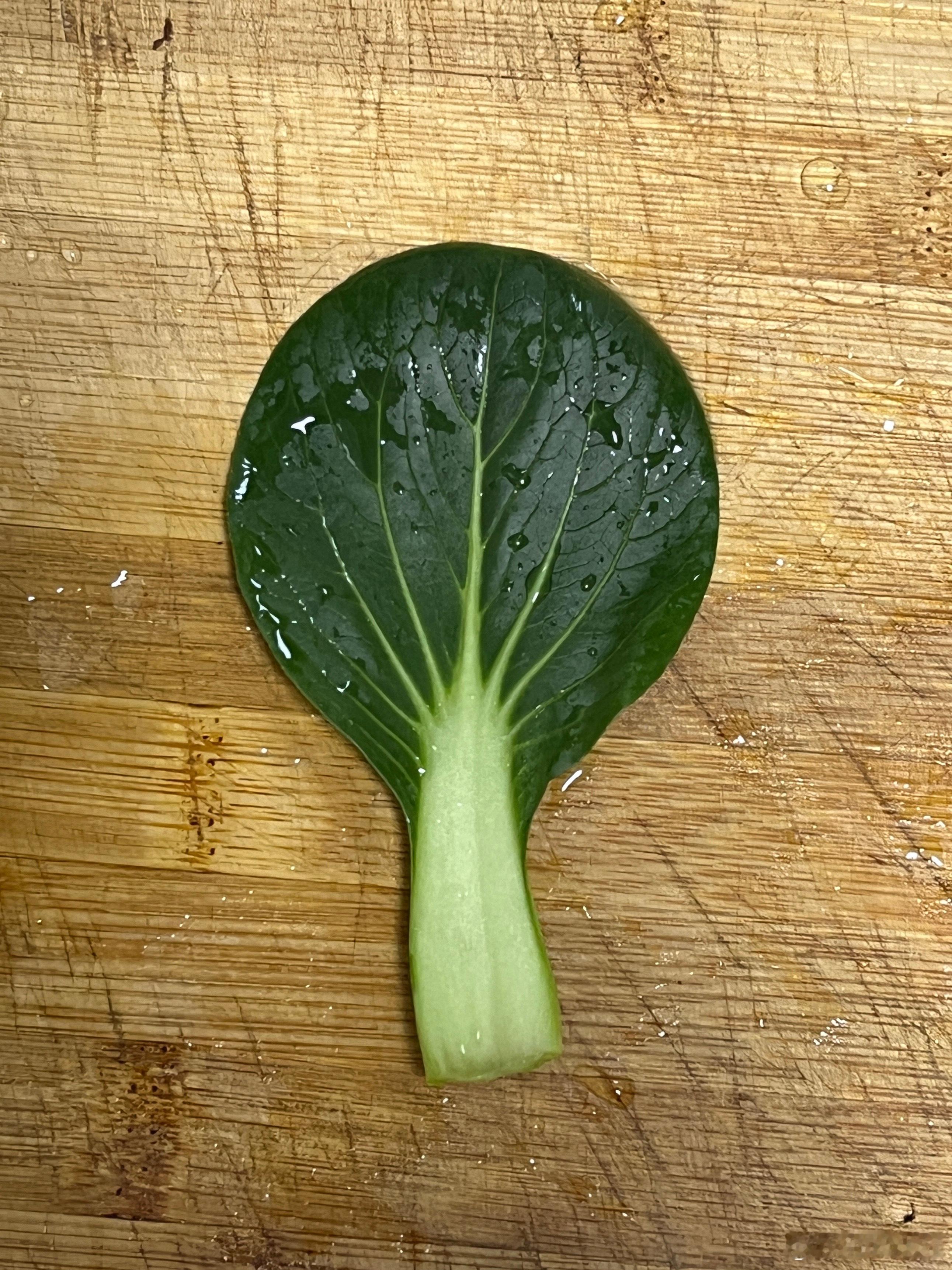 一片很青菜的青菜谁懂，标准到格格不入的程度 