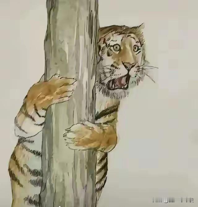 二等奖改没了，继续沉淀再来