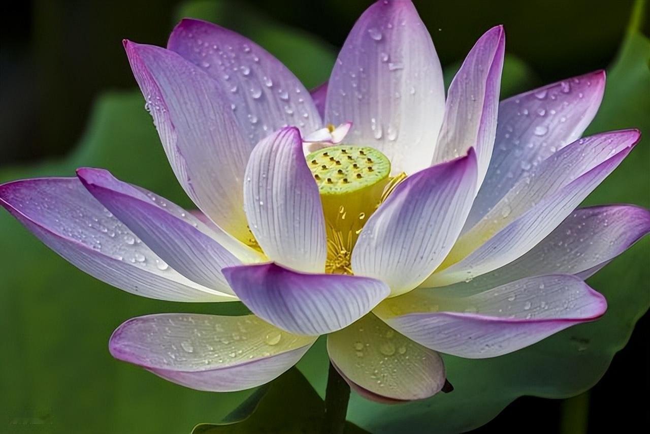 行的时候，不辜负路，读的时候，不辜负书，梦的时候，不辜负夜，吃的时候，不辜负胃。