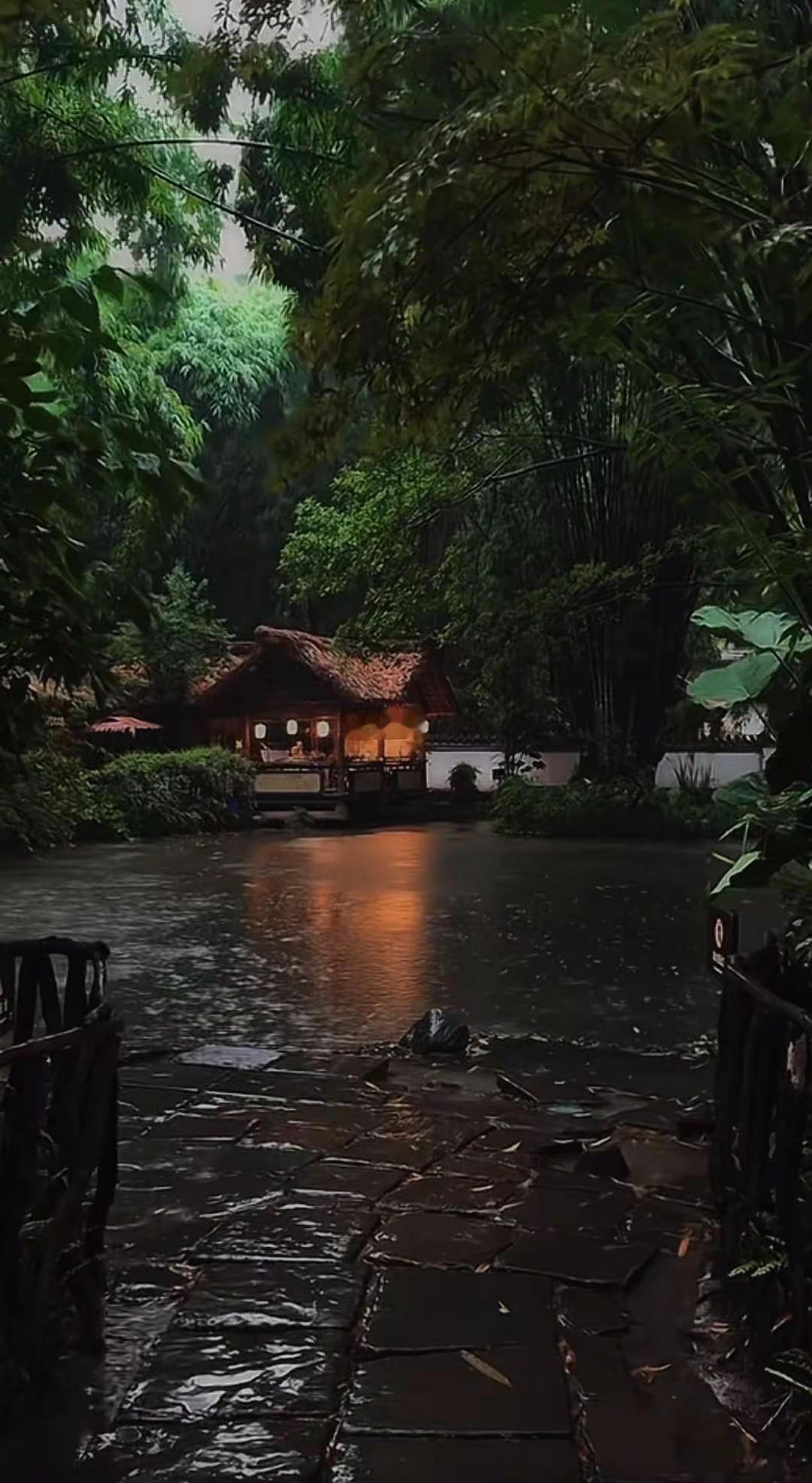 竹林自然风景 ，一个人就需要这样的环境，心静安静🤫江南烟雨 美景