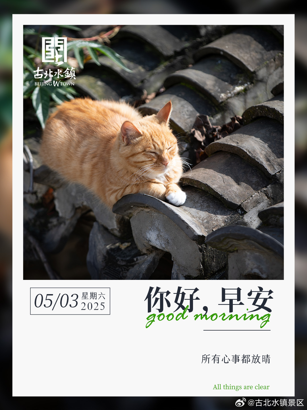 [送花花]所有心事都放晴早安，宝子们~#五一奇遇古北水镇# #长城下的碧水小镇#