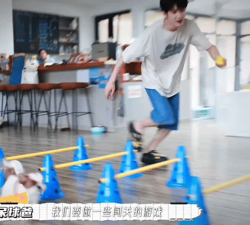 看似是训练者，其实是被训练，檀健次回家一看微信步数两万八 ​​​