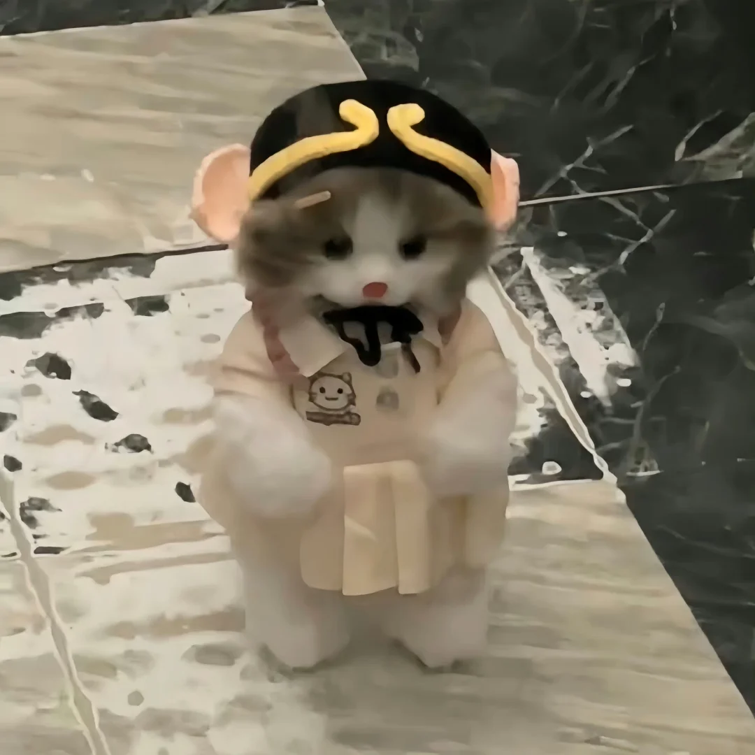 变装小猫₊⁺ʚ=･ ֊ ･=ɞ‧₊˚