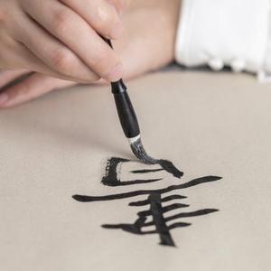 费子露杂谈