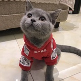 鹀说说科技