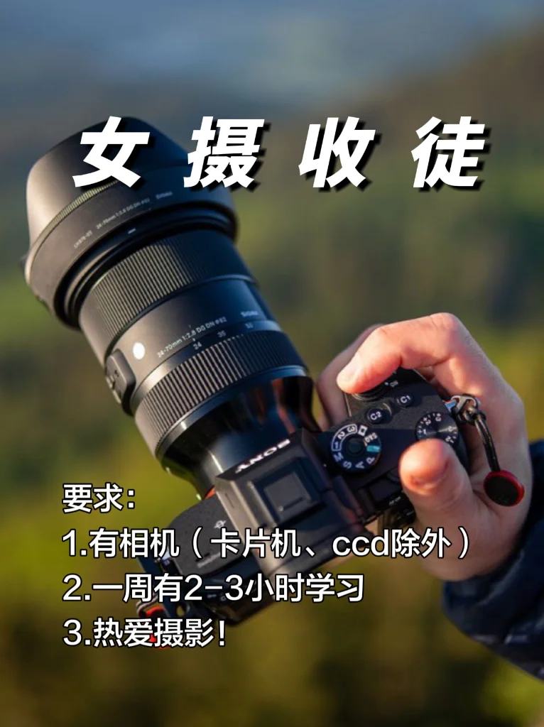 半夜突然很想交人摄影😭