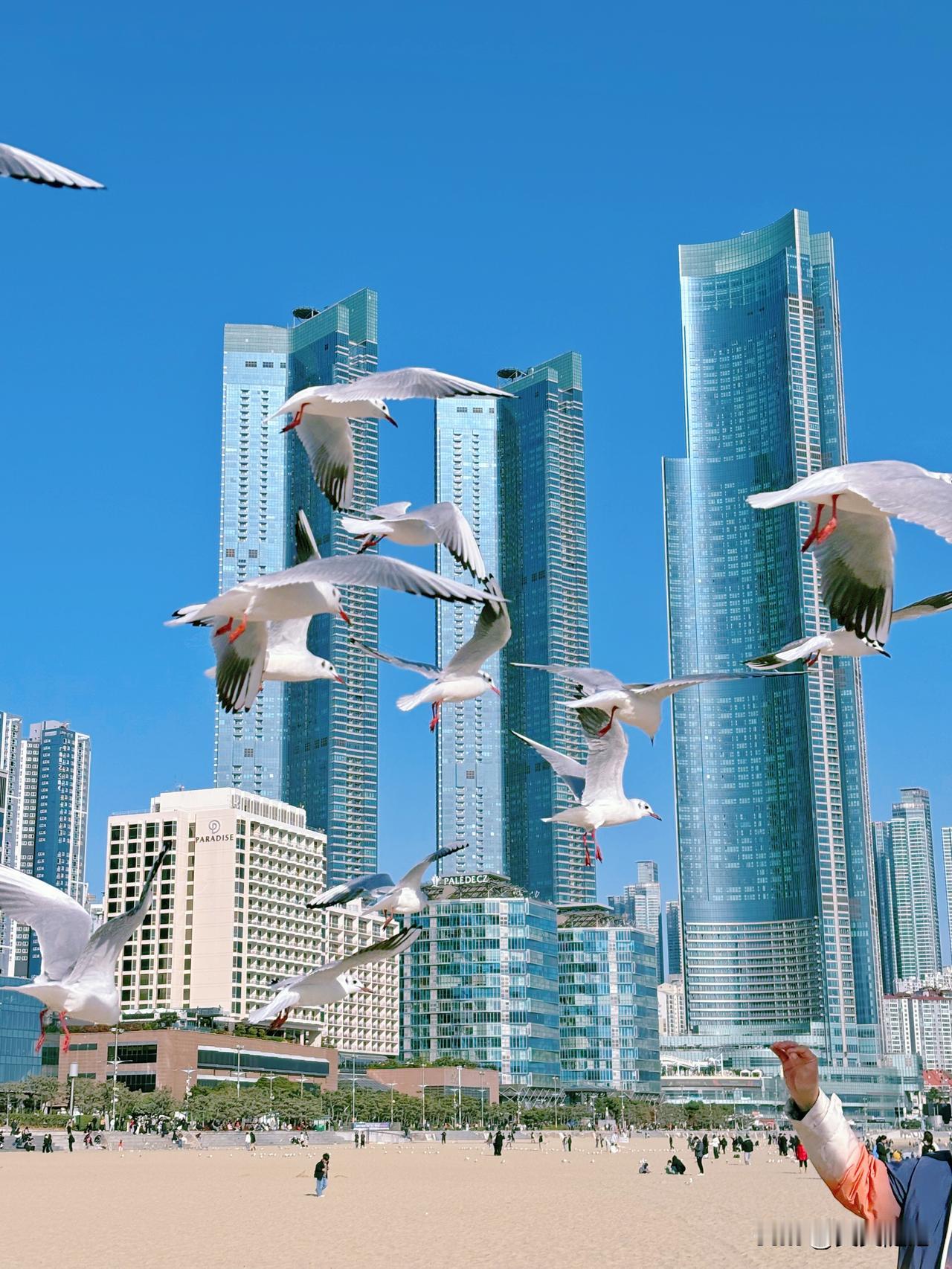 咽下委屈默默前行，成长丢了最初模样，除生死皆为擦伤。