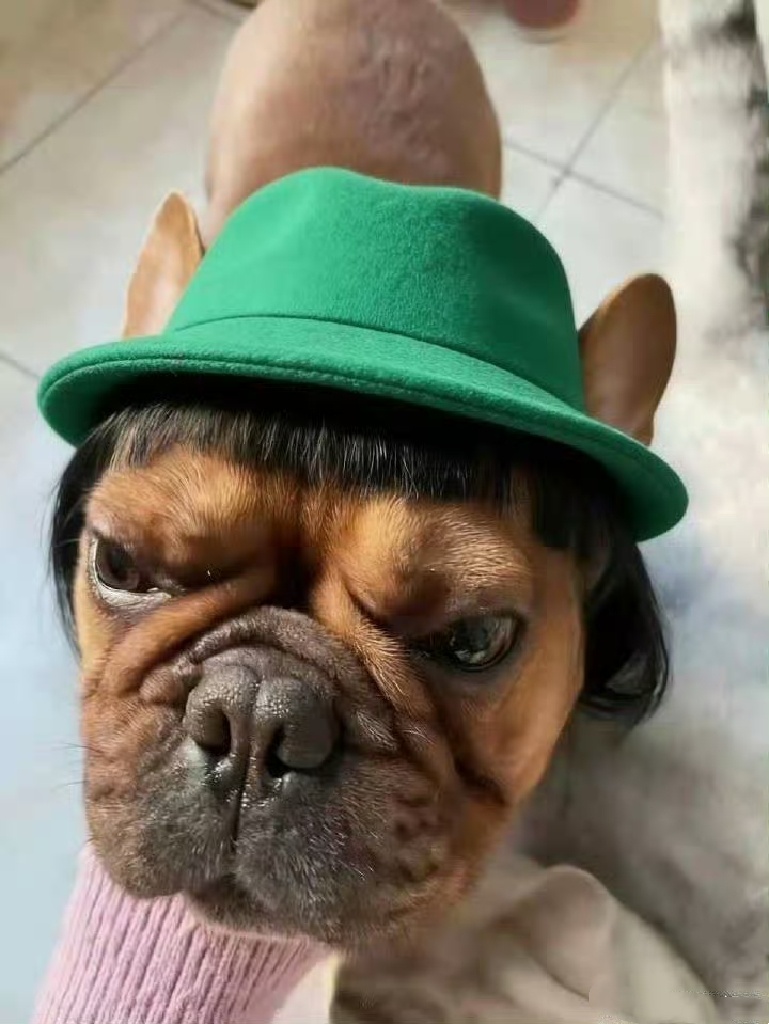 外孙称315晚会应该曝光我外婆 每年的3.15都看的触目惊心，食品安全事关生命健