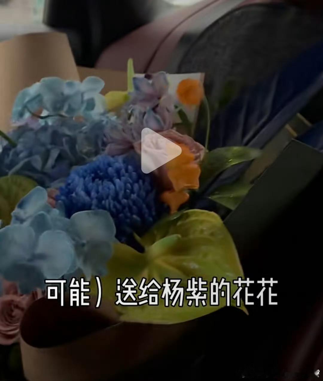 时代少年团给杨紫送花为什么 ​​​