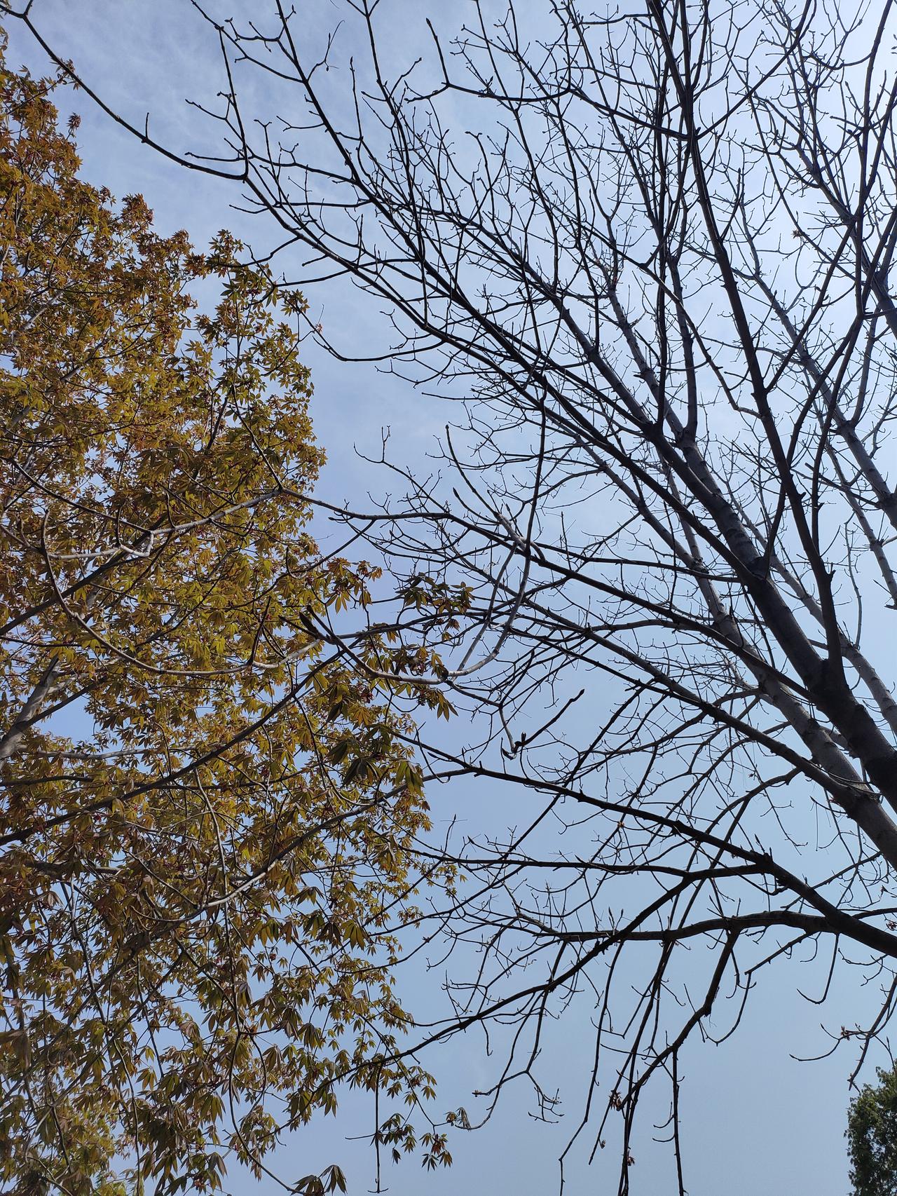 人老了，千万别轻易住到子女家！过来人的大实话，听着扎心
 
我今年快七十了，走过