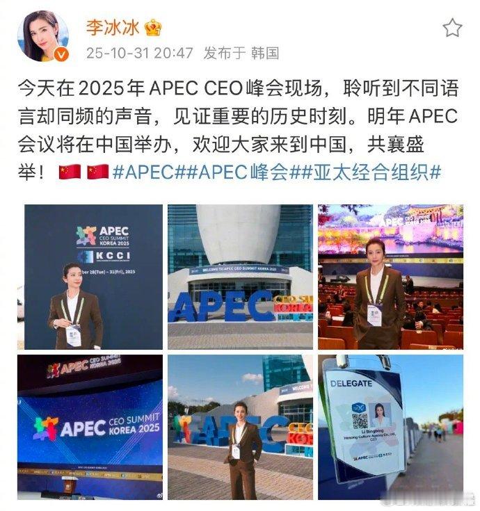李冰冰大花含金量还在上升救命！李冰冰在韩国 APEC 峰会的表现太圈粉！主题演讲