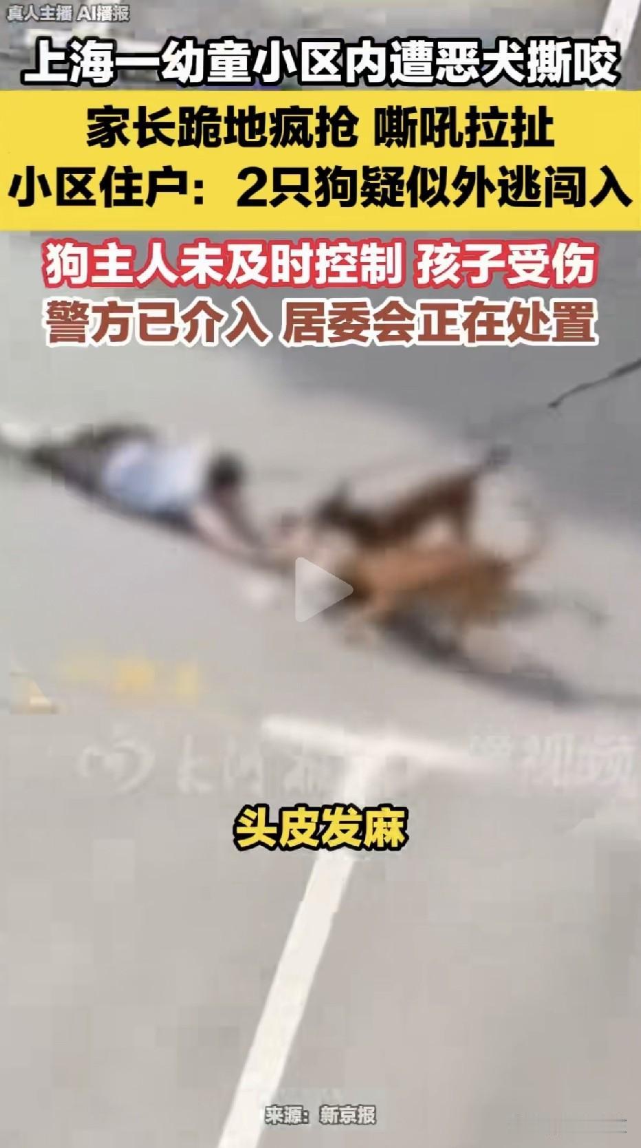 这不是电影，这是发生在上海街头的真实一幕：一名幼童被两只体型壮硕的恶犬扑倒在地，