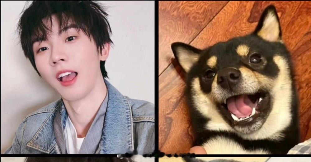 很会模仿六斤了马嘉祺学六斤拍照马嘉祺学六斤