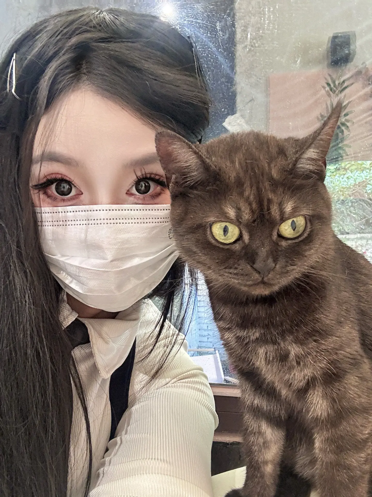 喵。