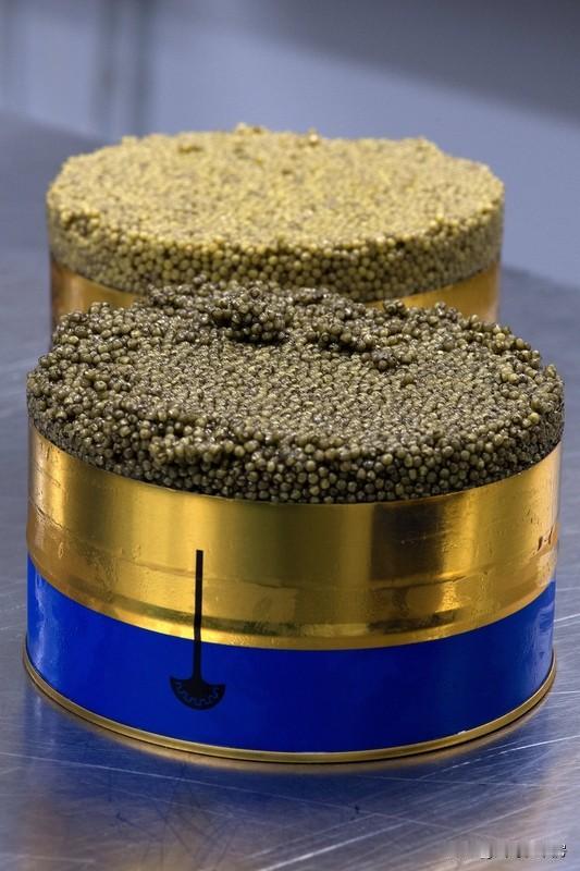 鱼子酱这高端美食，保存可不能马虎。因为它脂肪高、盐分低，超容易腐败。
未开封的鱼