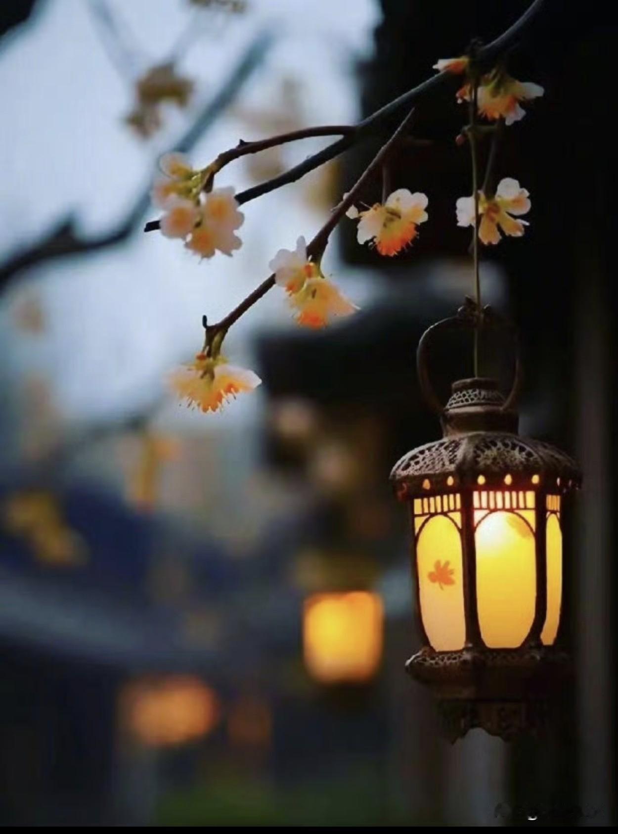 人到中年得想开点，

别见谁都忍不住想说教。

能处得来的，咱就多聚聚，

实在